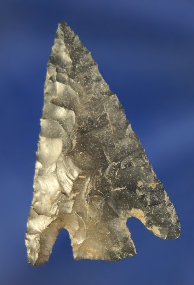 Heavily patinated 1 1/2" Hells Canyon found in Oregon.