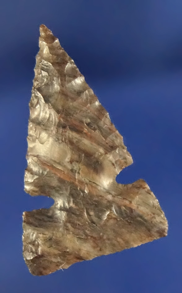 1" Sidenotch is nicely flaked on both sides - attractive material in perfect condition - Columbia