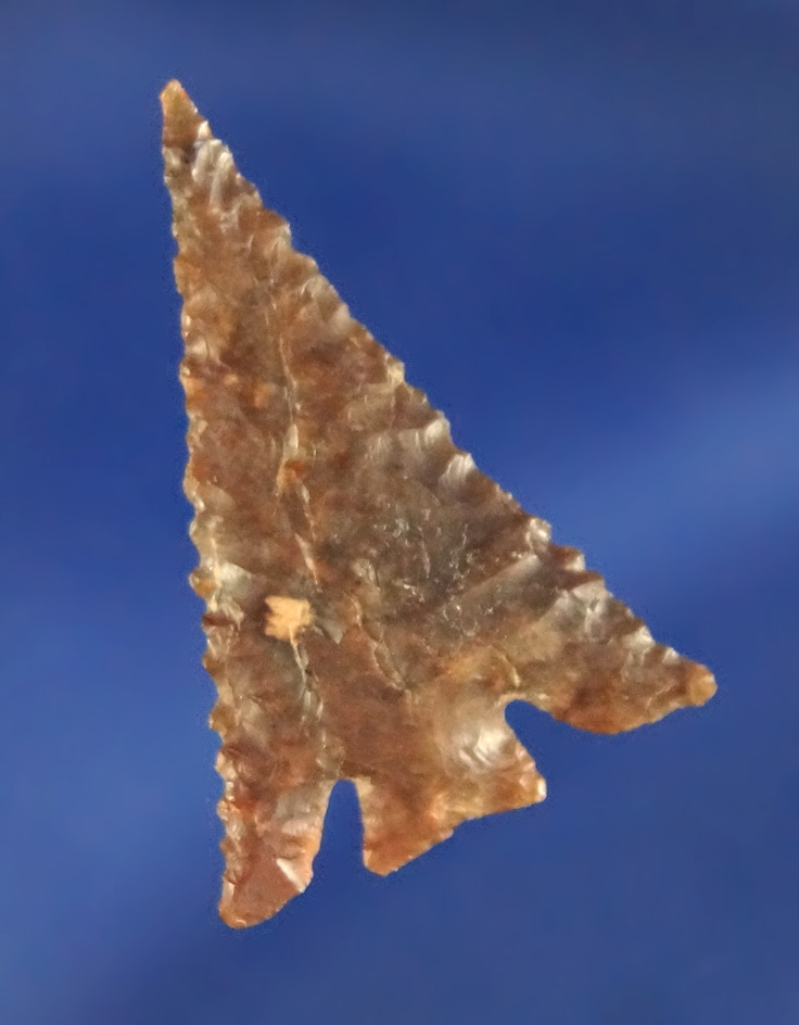 Thin and exceptionally well flaked 1 1/8" Eastgate that is perfect in every respect