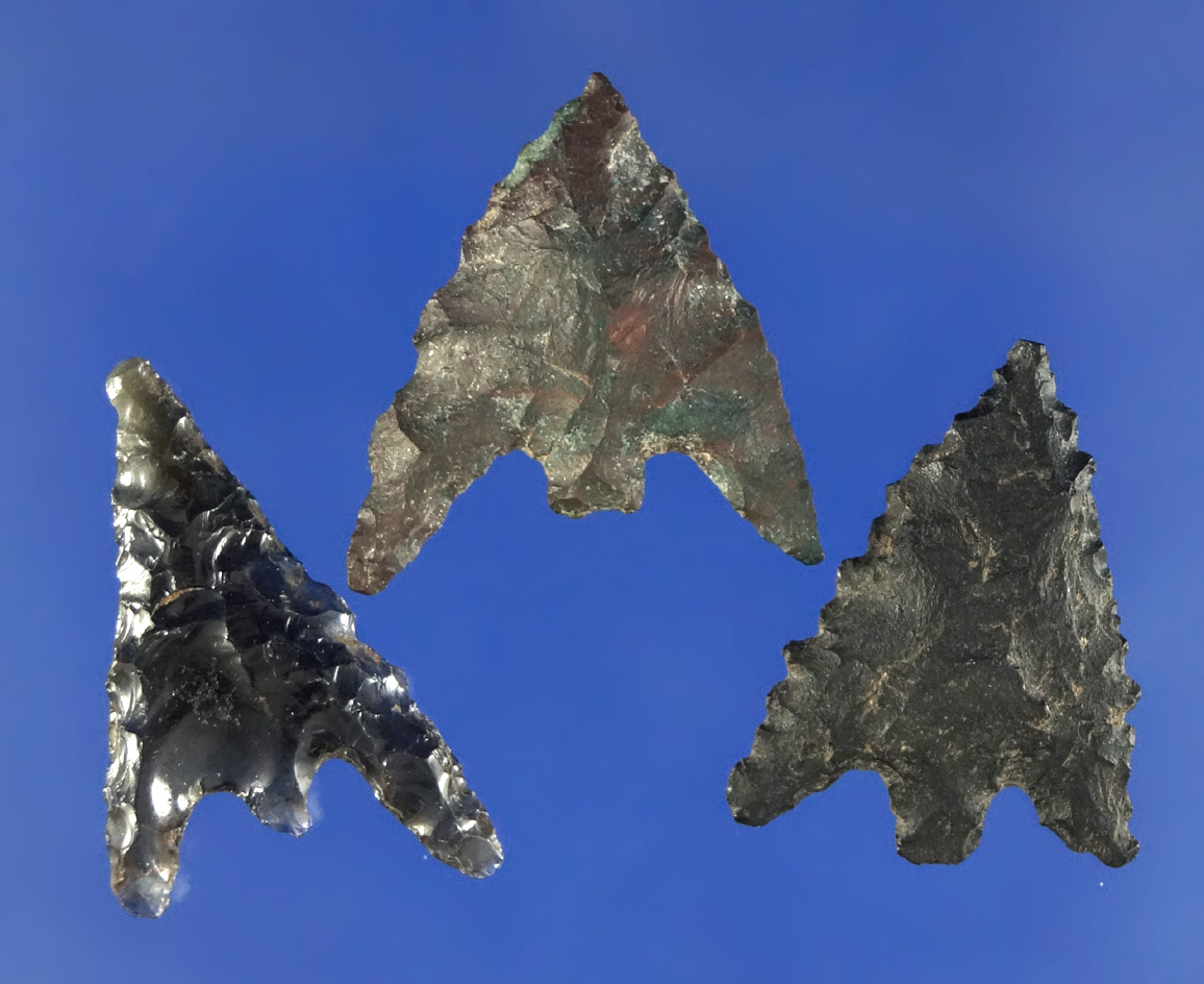 Set of three Gunther points found near Klamath Falls Oregon. Largest is 1 1/16".
