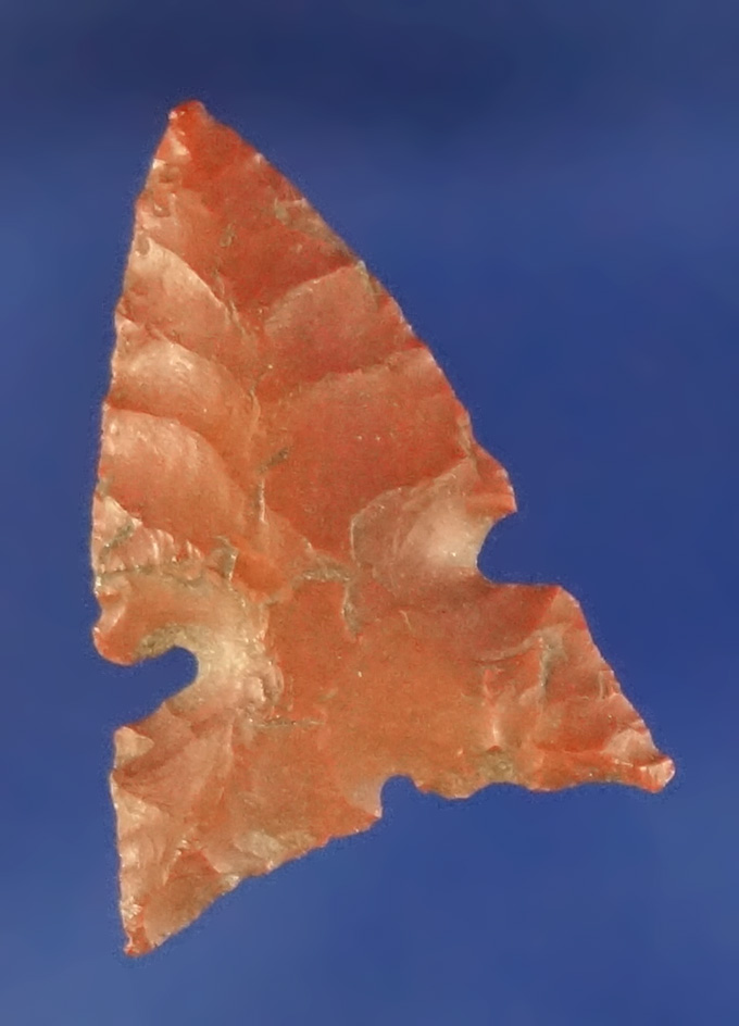 11/16" Desert Sierra - Jasper with nice flaking on both sides found near the Dalles