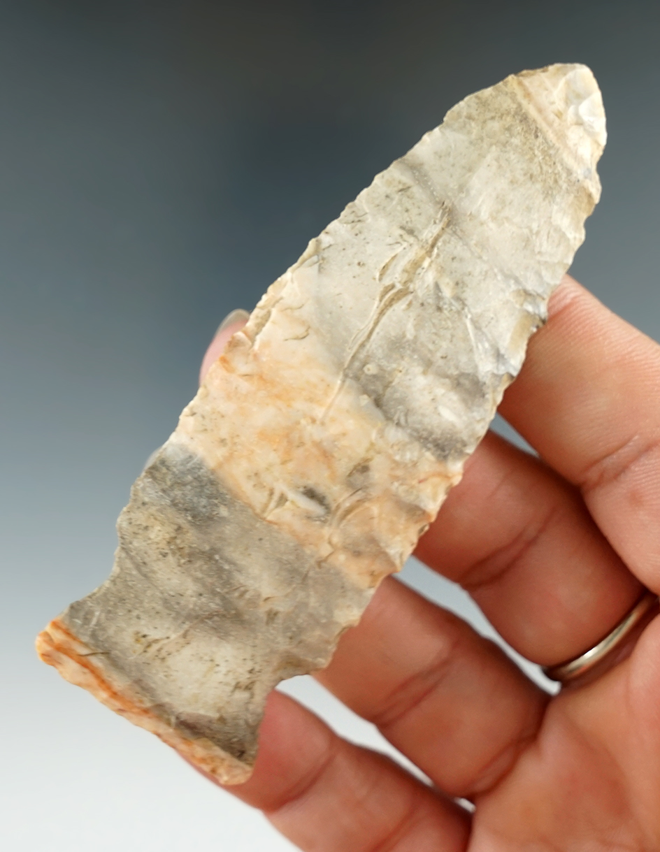 3 7/16" Steuben found in Tazwell City, Illinois. Comes with a Rogers COA.