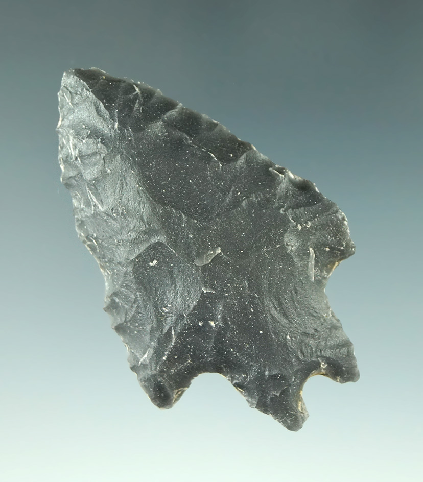 2 1/8" Pinto Basin found in Oregon.