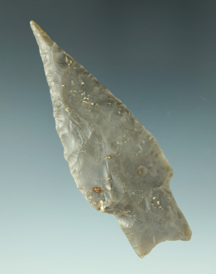 3 1/8" Pedernales point - needle tip found in Texas. Museum Deaccession! Ex. Culpepper