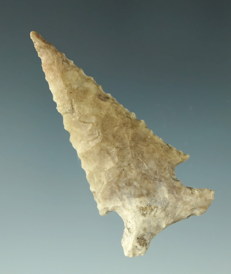 Museum Deaccession! 2 1/4" Frio point found in Texas in very nice condition.