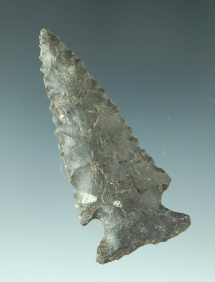 2 1/4" Ensor point found in Texas. Museum Deaccession! Ex. Culpepper