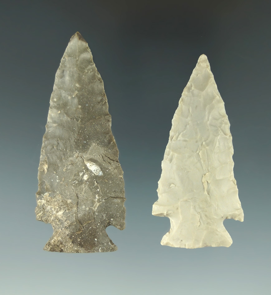 Museum Deaccession! Pair of Williams points found in Texas, largest is 2 5/8".