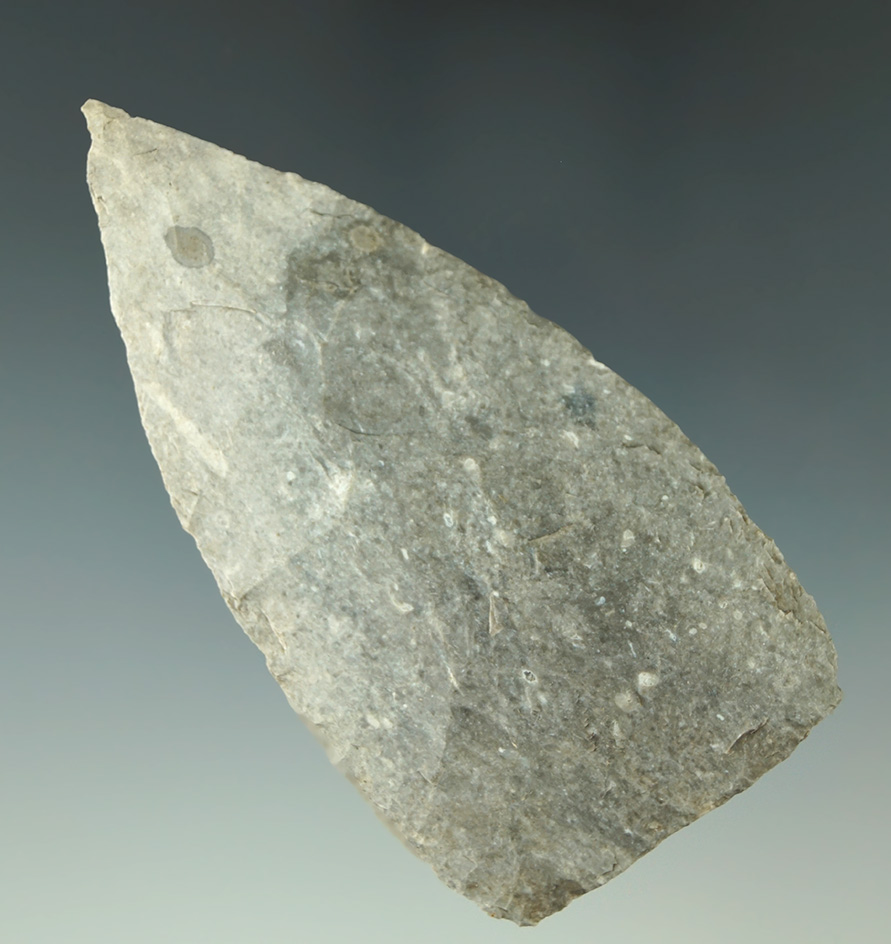 Museum Deaccession! 3 5/16" nicely flaked Covington Blade found in Texas. Ex.  Culpepper