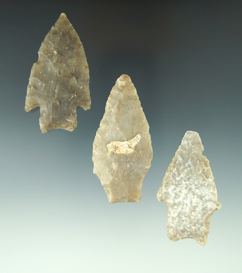 Set of three arrowheads found in Texas, largest is 2 9/16".