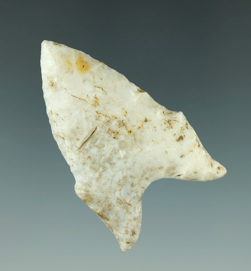 Excellent style! 2 1/16" Dalton found in St. Charles Co., Missouri.