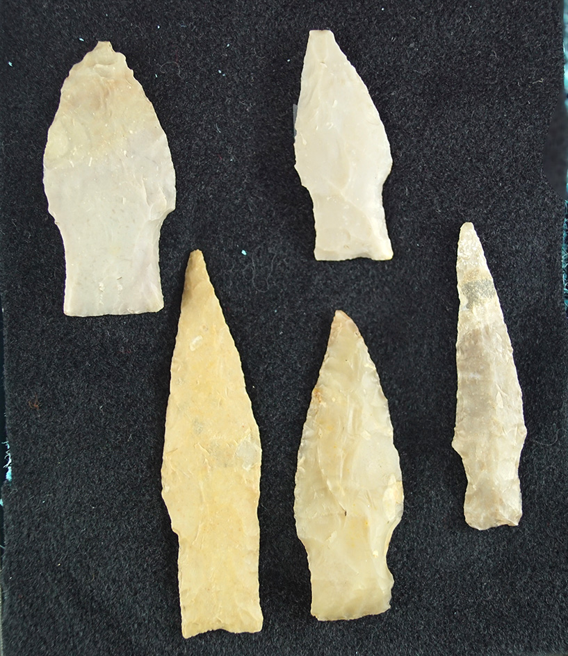 Set of five assorted Texas arrowheads, largest is 3 5/16".