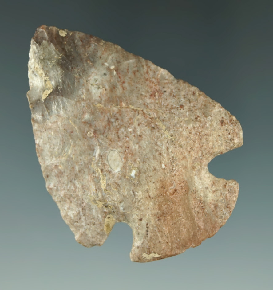 2 9/16" Snyders made from heavily patinated and colorful Flint found in Illinois.