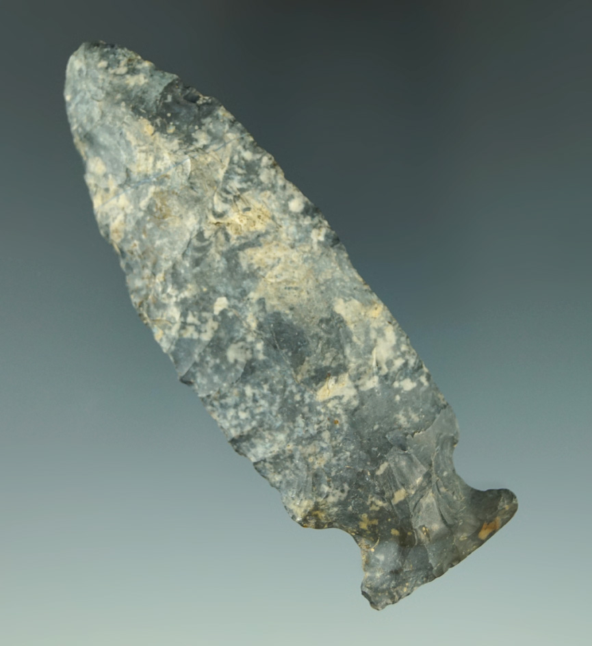 3 1/2" Fishspear- nicely mottled Coshocton Flint found in Ohio.  Bennett COA.