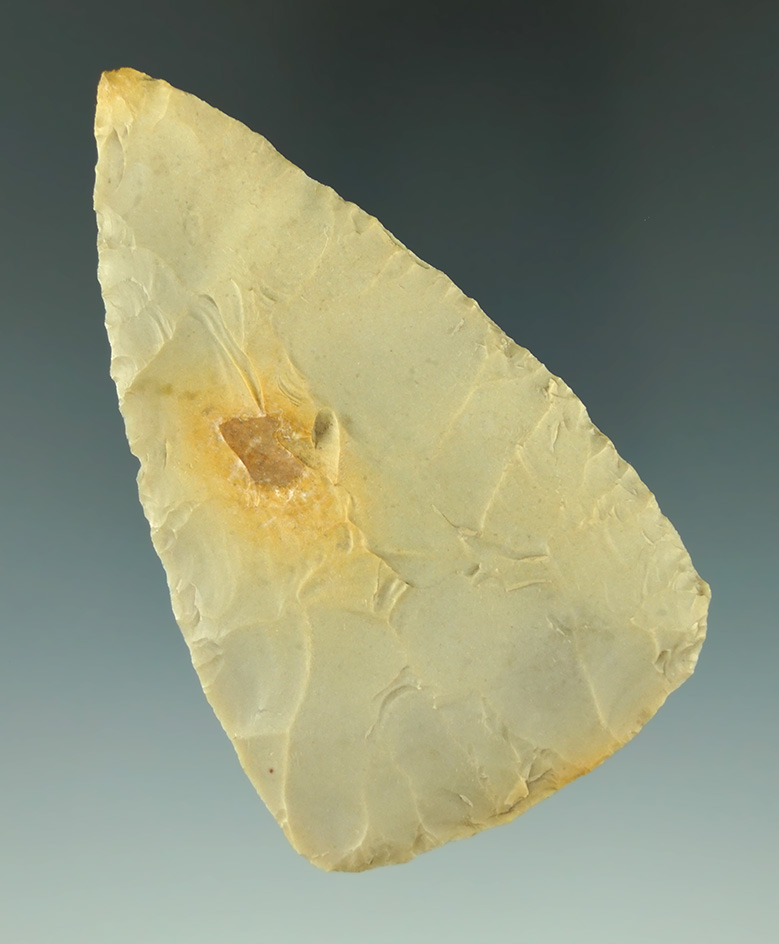 3 1/4" Covington Blade with excellent flaking found in Texas.  Museum Deaccession!