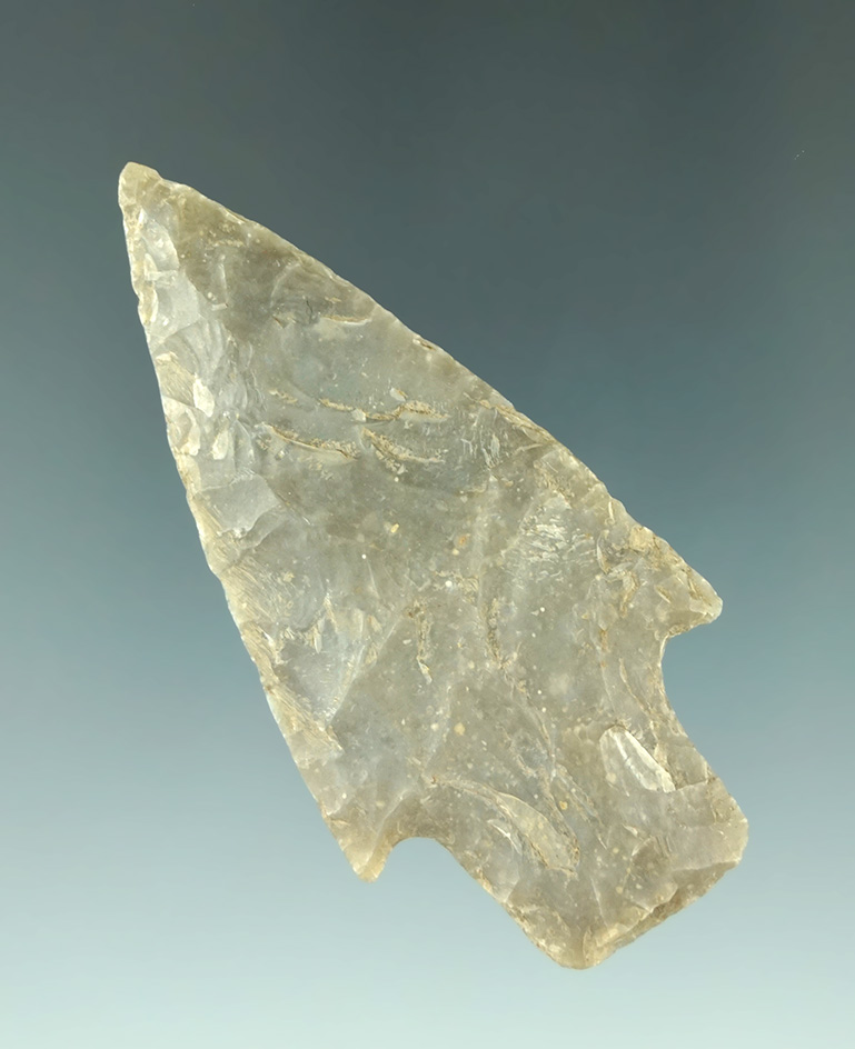 Museum Deaccession!2 9/16" classic style Bulverde point with excellent flaking.  Texas.