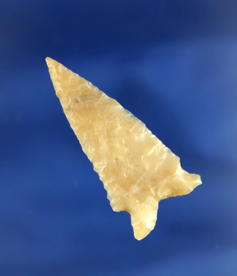 Beautiful material on this 1 1/2" semi translucent Elko Eared found in Oregon.