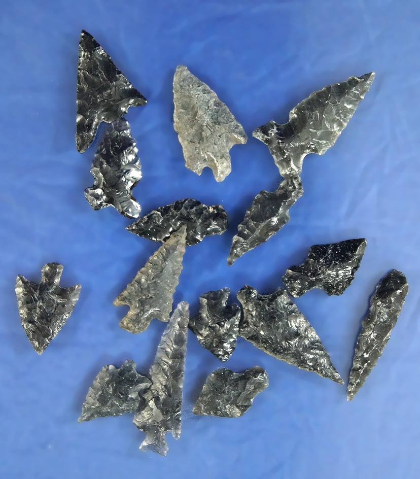Set of 15  assorted Oregon Arrowheads, largest is 1 5/16".