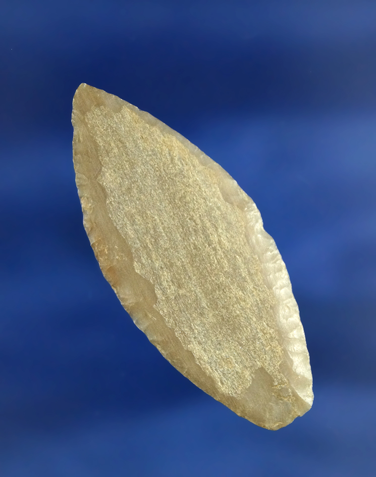 Exceptionally thin 2" Lanceolate point made from semi translucent petrified wood.