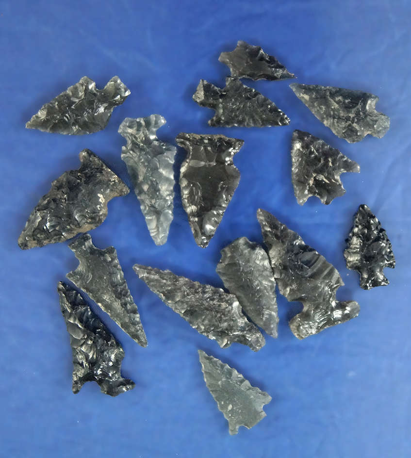 Set of 15 assorted Oregon Arrowheads, largest is 1 1/8".