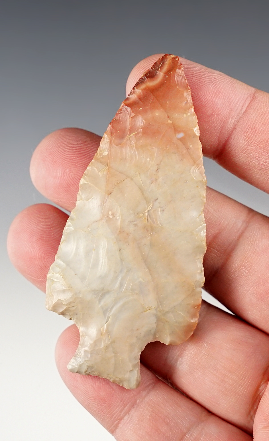3" Bottleneck Point made of beautiful Flint Ridge Flint. Found in Morrow Co., Ohio. COA.