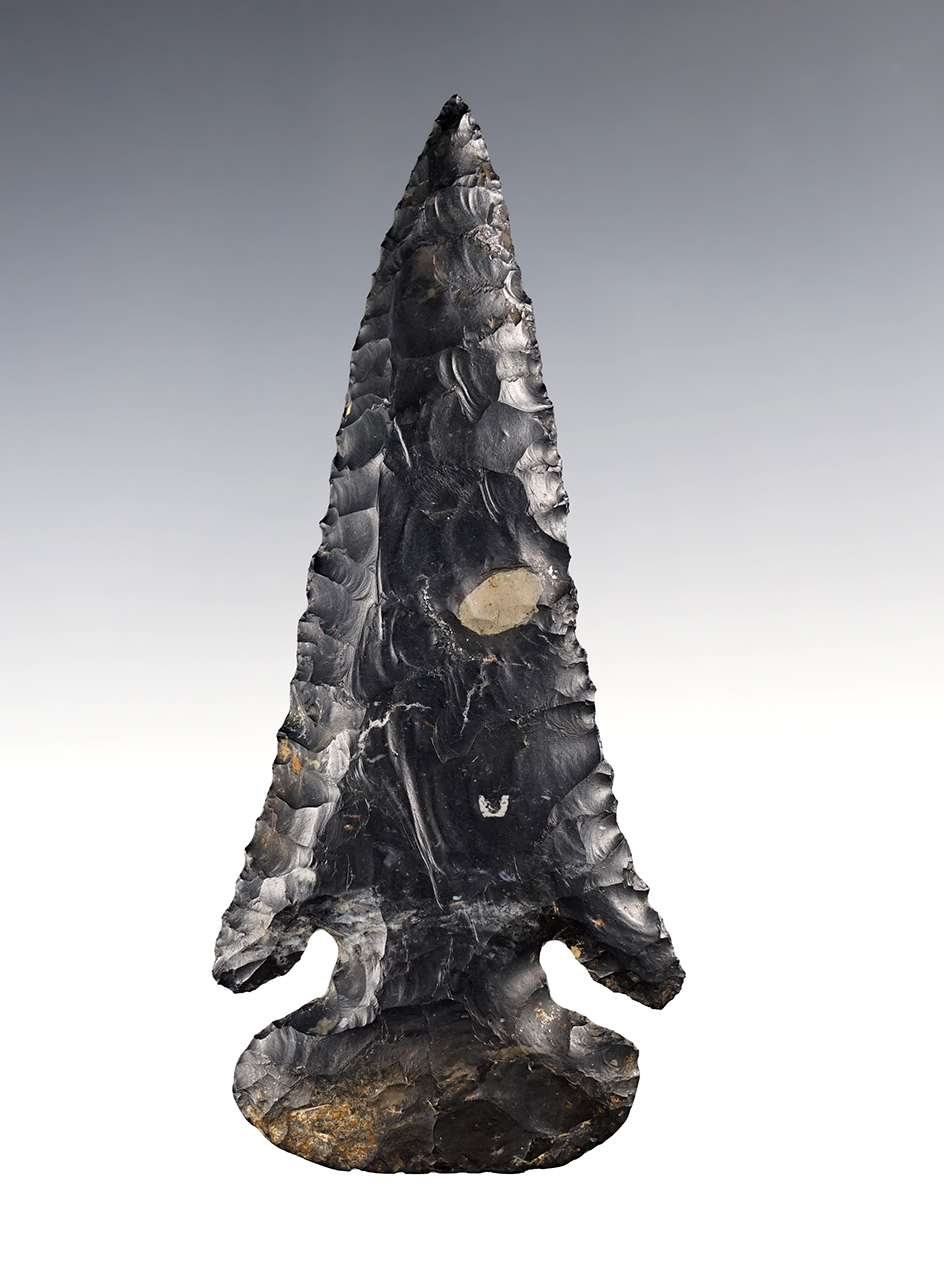 4 3/4" Wide Base Archaic "Dog Leg" Bevel found in Delaware Co., Ohio. Ex. Gilbert Dilley. 