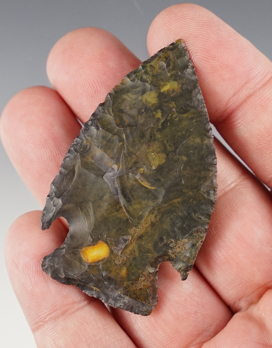 2 3/8" Intrusive Mound made from Coshocton Flint, found in Ohio. Pictured. Bennett COA. 