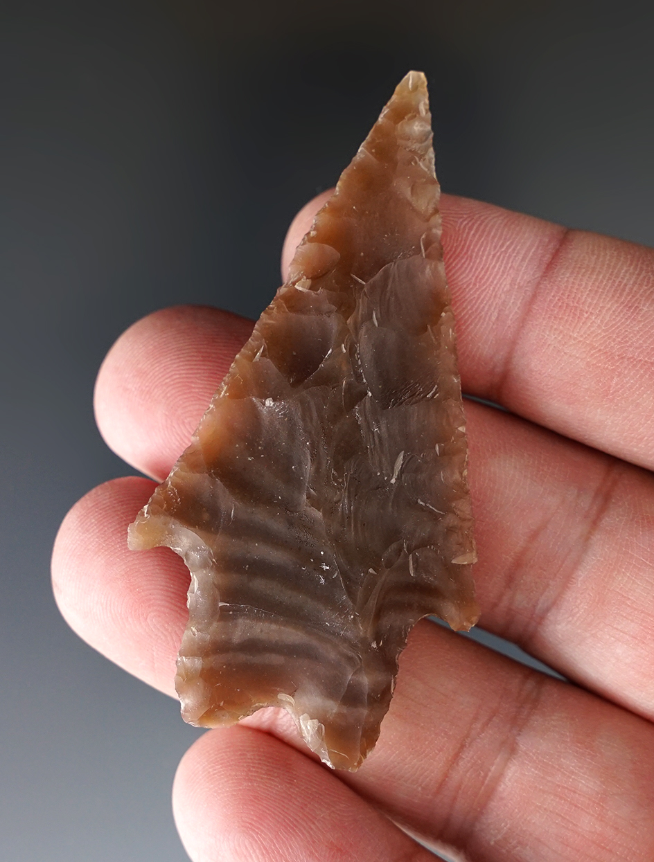 2 3/8" Pedernales Point- beautifully banded Root beer Flint found in Bandera Co., Texas. Arnold COA.