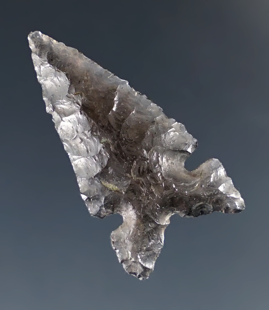 Excellent flaking and style on this 1 1/8" Desert Sierra found in Lake Co., Oregon.