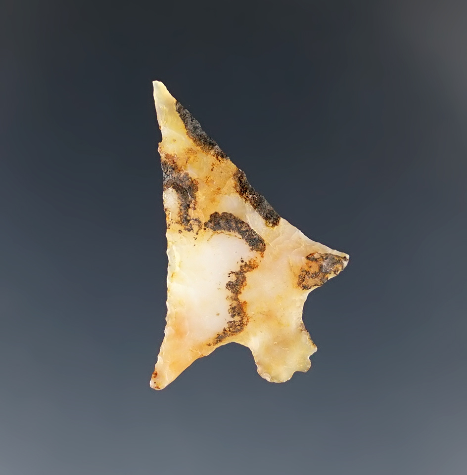 Exceptional color pattern on this translucent 1 1/8" Wallula found near Vantage, Washington.