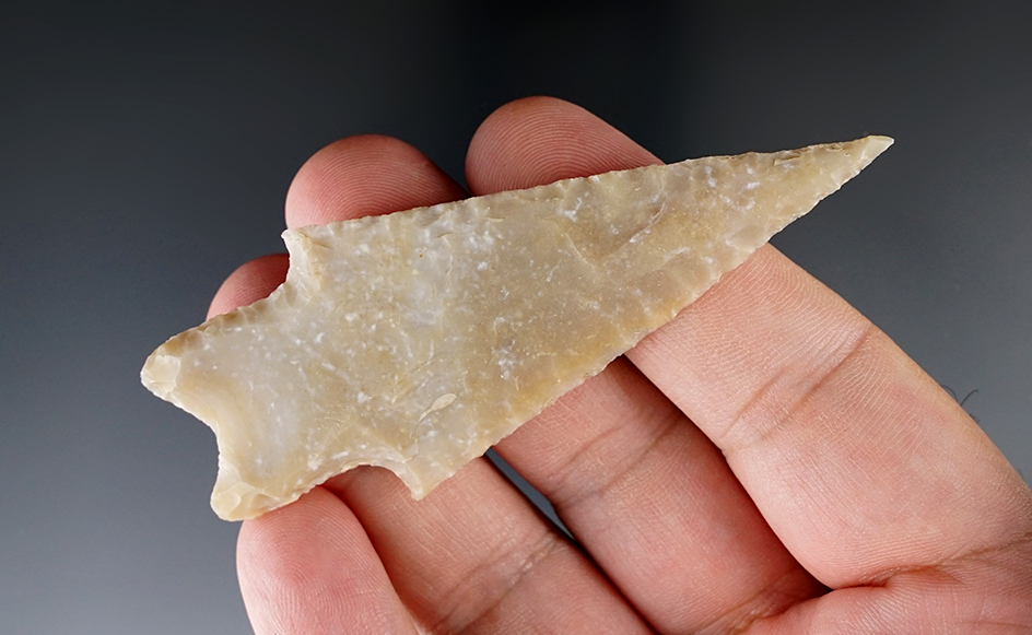 Excellent style and flaking! 3 3/8" Pedernales point found in Gillespie County Texas. Roger COA.