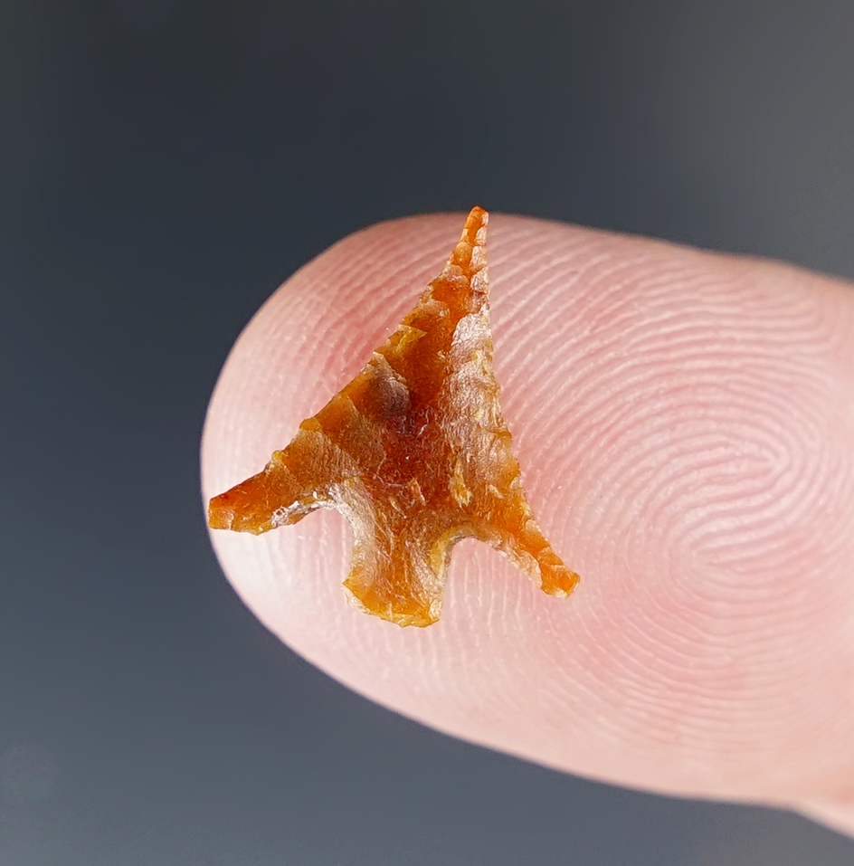 Exceptional flaking on this miniature 9/16" Columbia plateau Gem - Clark County Washington.