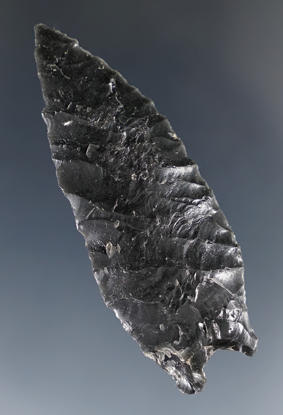 2 1/8" Obsidian Pinto Basin with nice flaking found in Lake Co., Oregon.