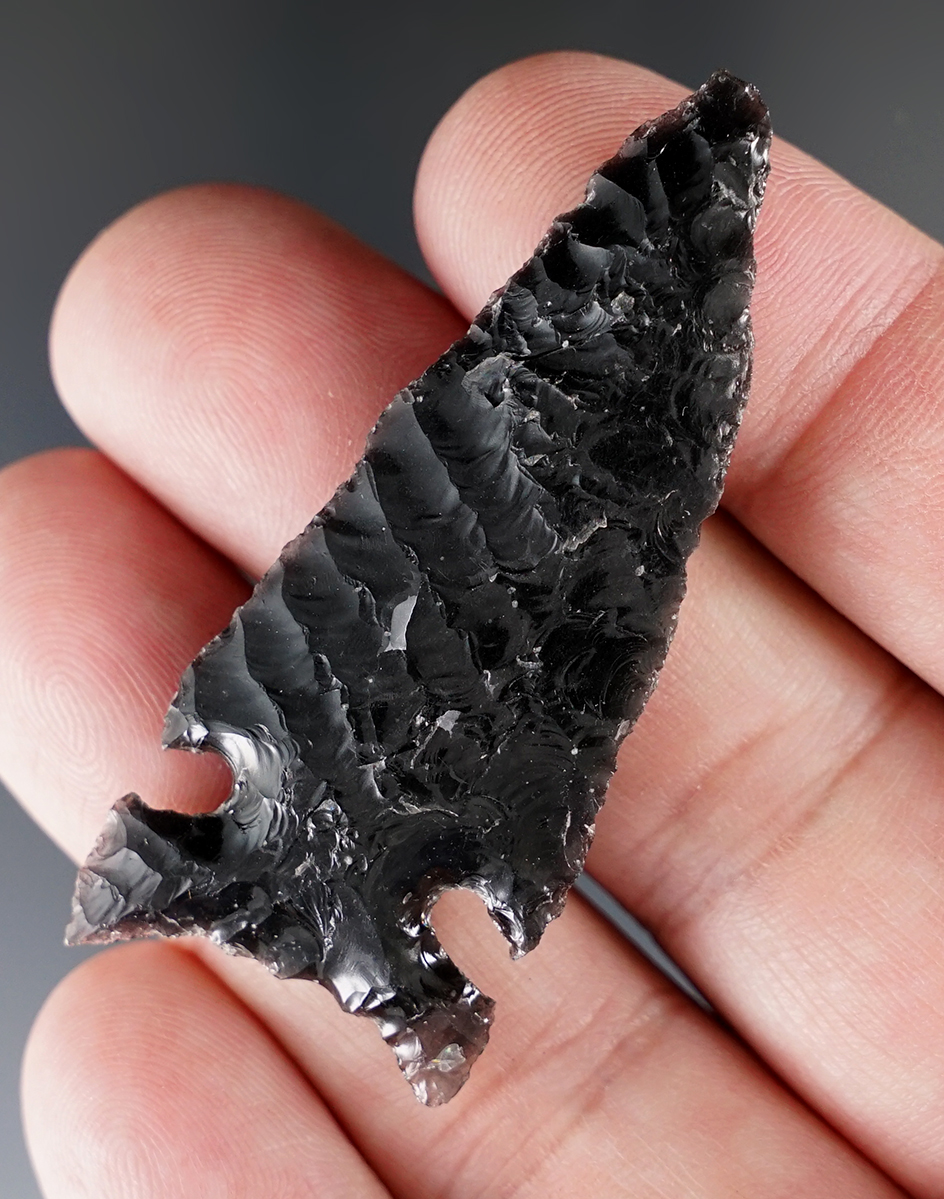 2 1/4" Northern Side Notched Fox Ear style found in Lake Co., Oregon. Excellent example of type.