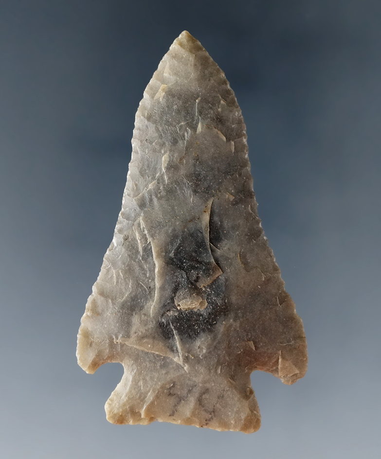 Well styled and nicely patinated 2 1/2" Pinetree found in Kentucky.