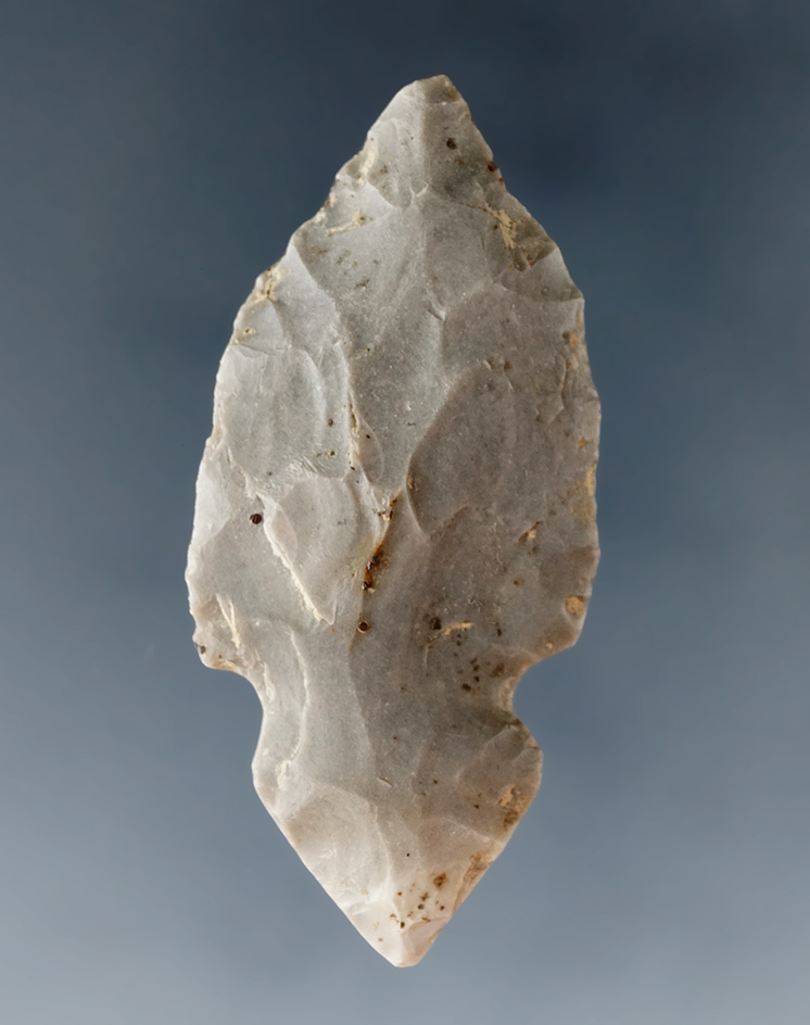 2 1/8" miniature Turkeytail found by Art Gerber at the Crib Mound in Spencer Co., Indiana.