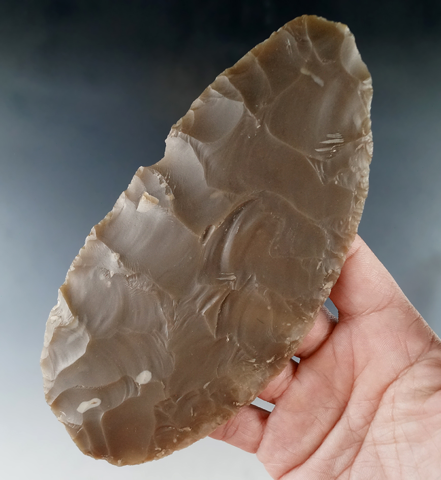 Beautiful material! Large 6 1/8" Covington Blade with large percussion flaking - very thin for size.