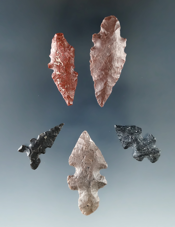 Set of five arrowheads found in Texas, for are Duran points, largest is 1 7/16".