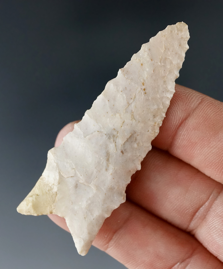 2 7/16" well styled Dalton point found in Warren Co., Missouri.