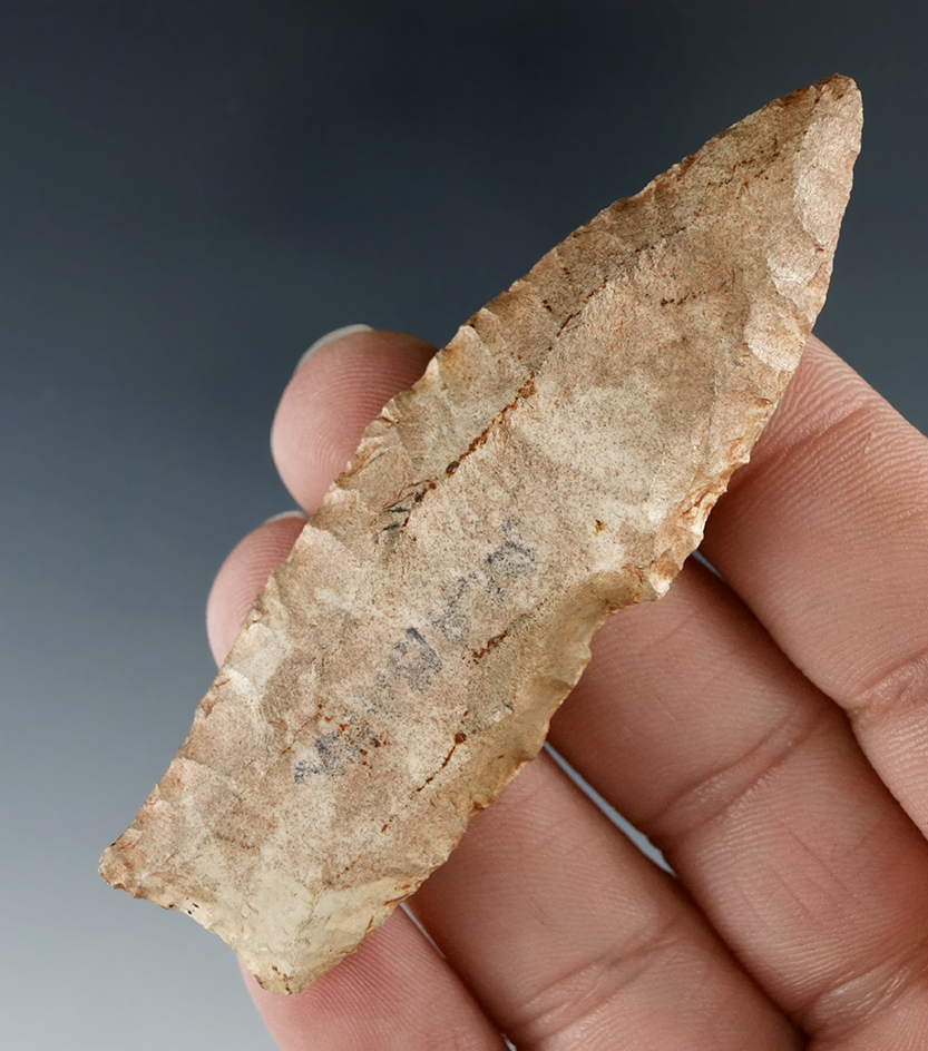 Paleo Fluted Cumberland found in Kentucky. Comes with a Rogers COA.