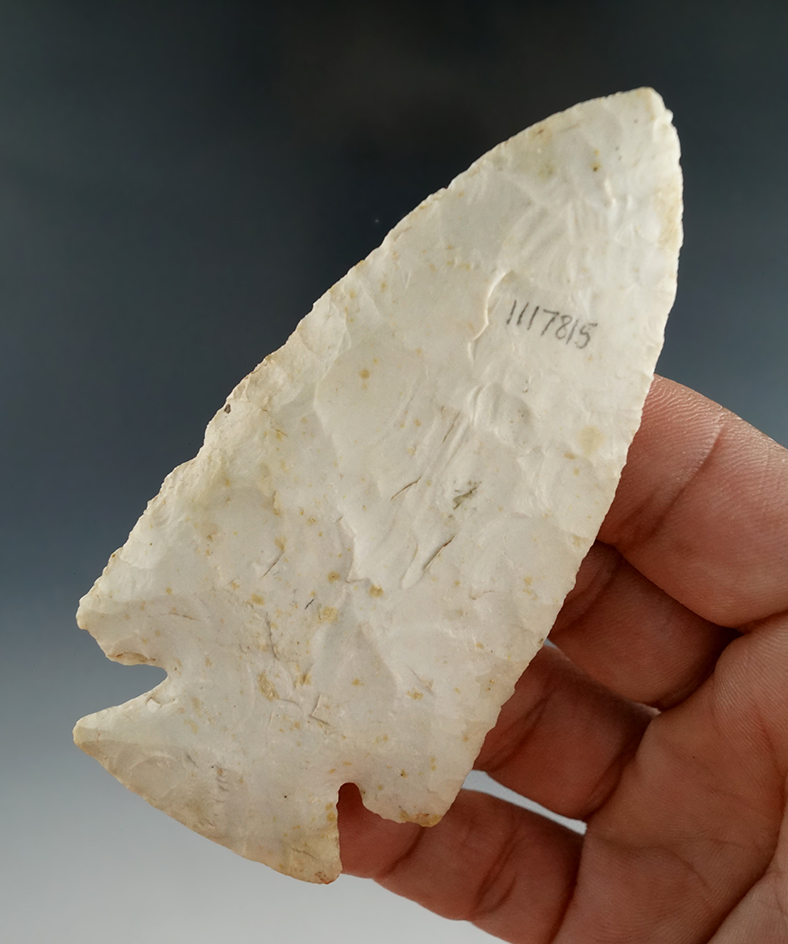 Very nice! 3 9/16" clipped Wing Harddove found in Ralls Co., Missouri.