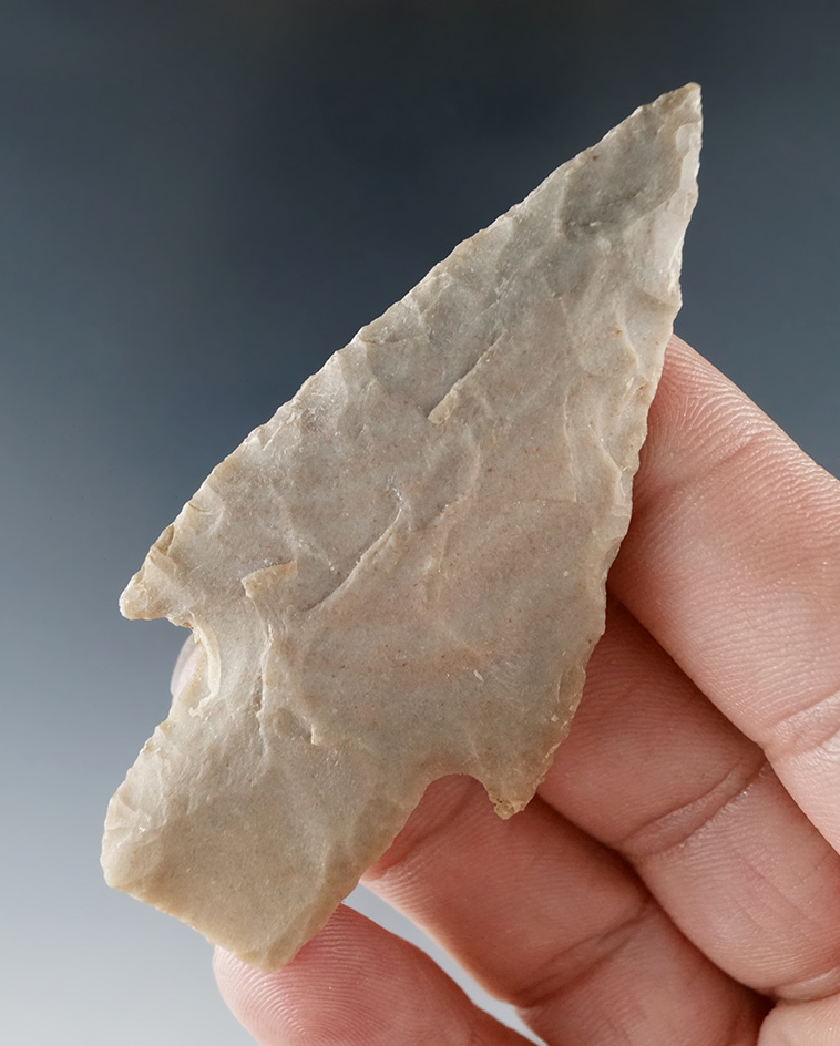 2 11/16" Bulverde point found in Texas.