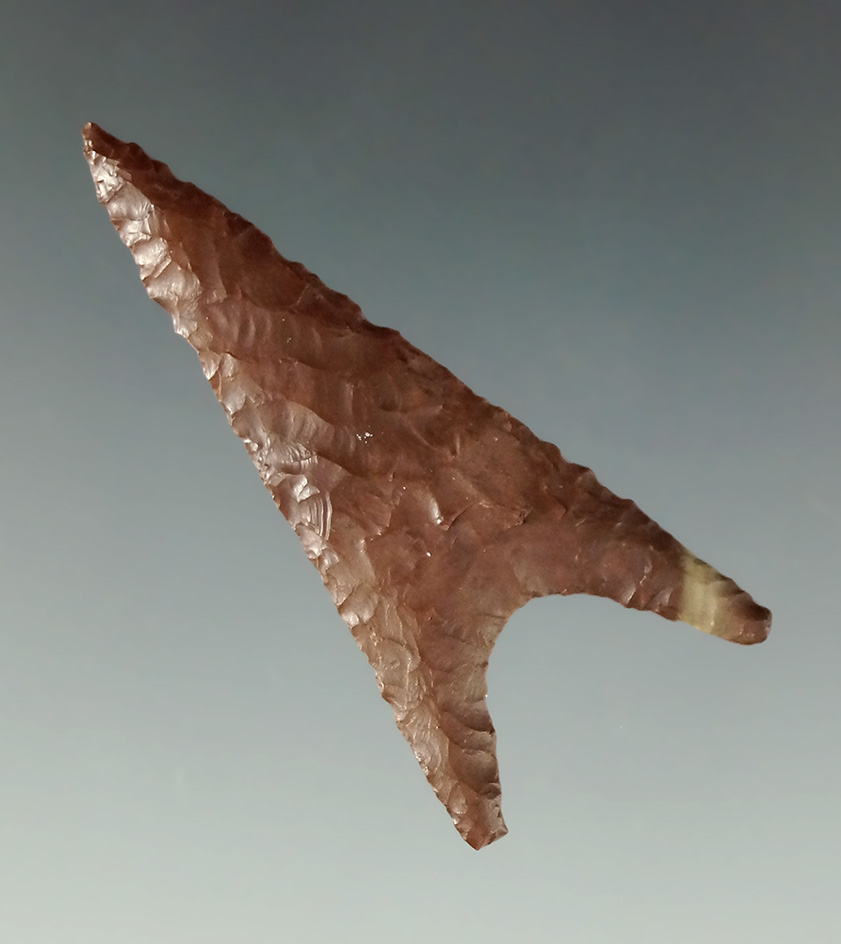 1 7/8" Starr - Brown Jasper. Charles Shewey Collection, Museum of NA History.