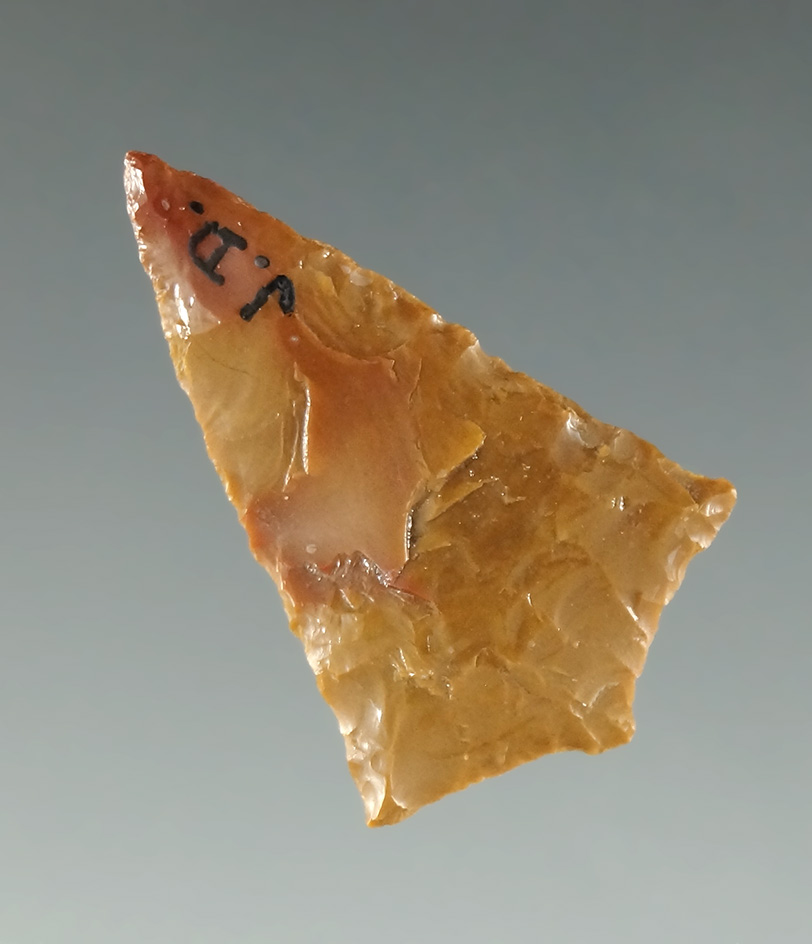 Excellent flaking on this 1" Rabbit Island found near the John Day River by Kaye Don Bruce.