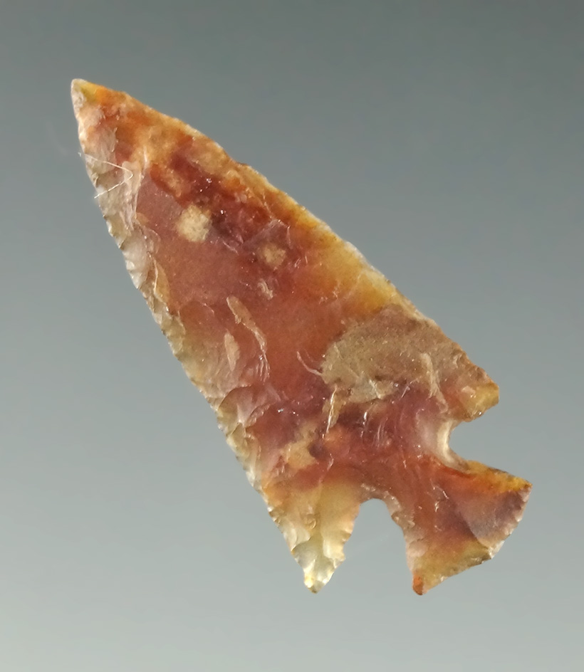 Thin 1 1/8" Rose Springs found by Frank Buehler in Oregon.