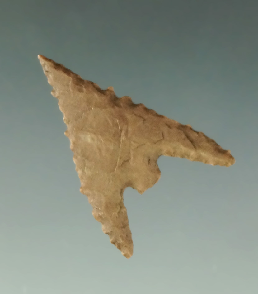 Nice 1 1/8" Gunther found in Oregon.  Ex. Charles Shewey, Museum of NA History.