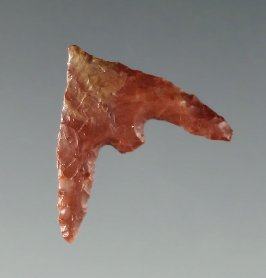 Fine 11/16" Gunther Point (Rogue River) found in Coos Co., Oregon. Perino COA.