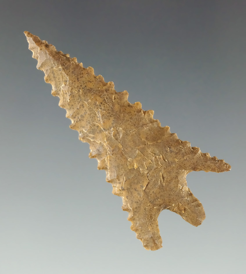 Excellent serrations on this 1 3/4" Columbia Plateau found in Oregon.