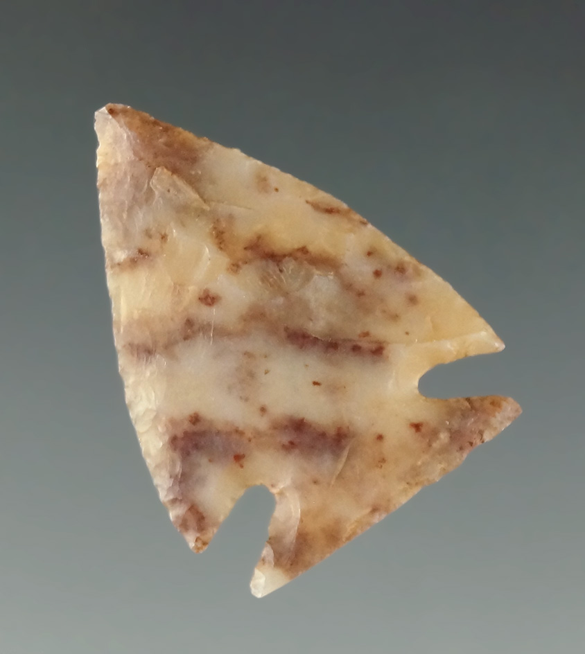 15/16" Caracara that is thin and well made from Alibates Flint and found in Texas.