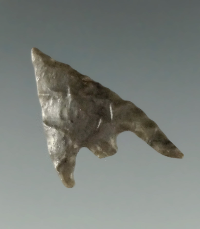 1 1/16" Gunther Point (Rogue River) found in Coos Co., Oregon. Perino COA.