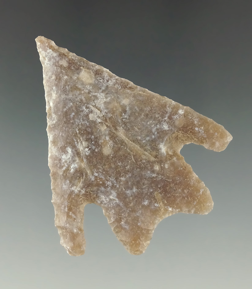 Beautifully patinated 2 1/16" Pedernales found in Texas.